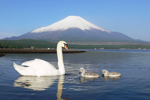 山中湖観光協会